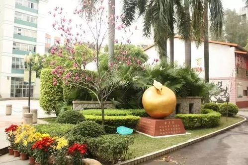 加工能力名列前茅 广州市西关外国语学校究竟怎么样