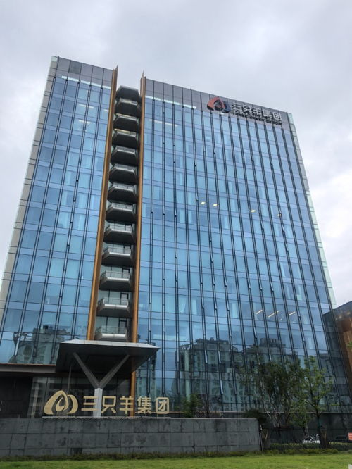 央广网记者实探三只羊集团,官方回应 后续仍会有通报