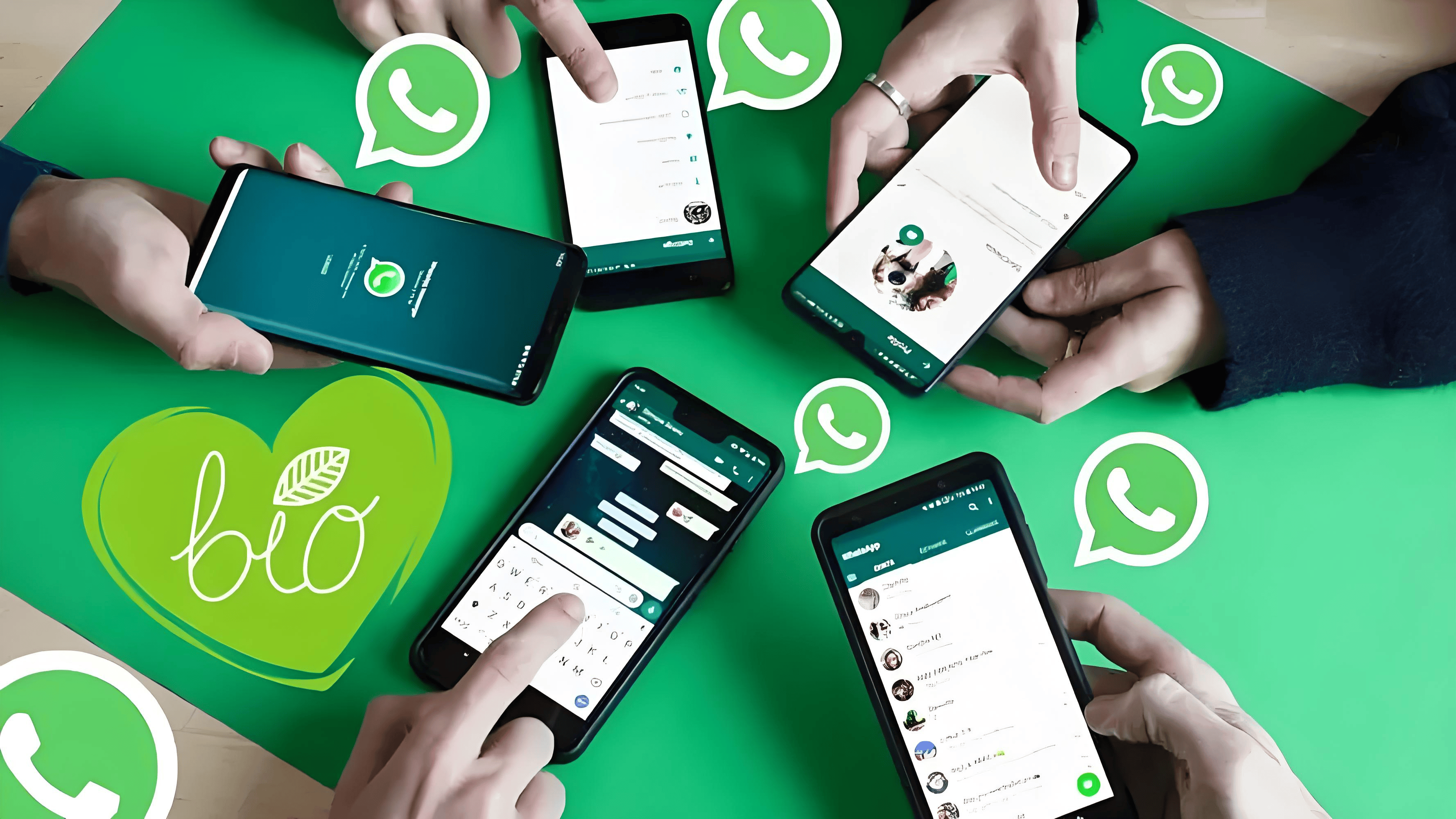 WhatsApp多账号安全切换使用教程