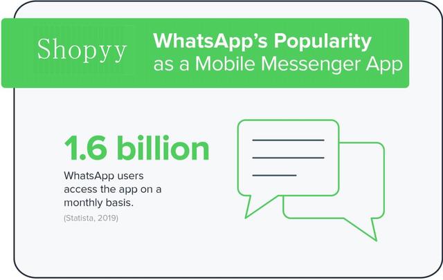 WhatsApp广告预算优化与转化提升实战全解析