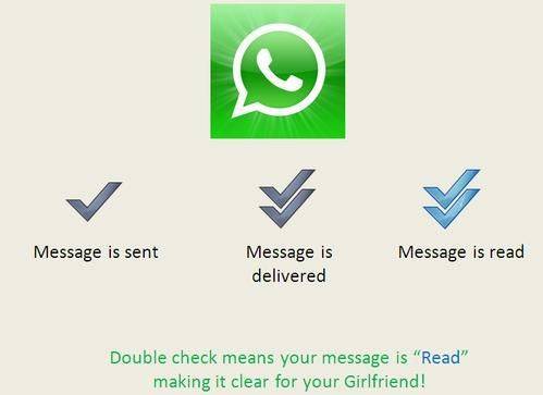WhatsApp文件清理与内存优化实战指南，重获手机流畅体验