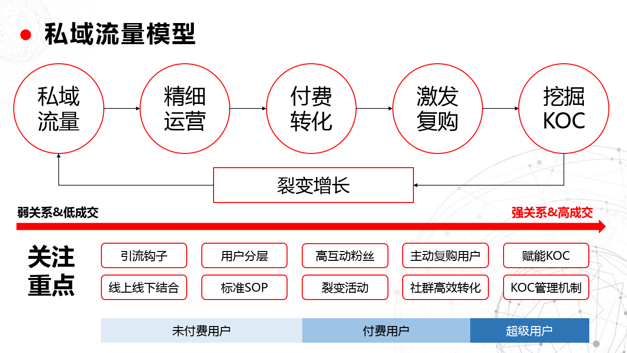 AI私域引流革命，从零构建自动获客模型的实战指南