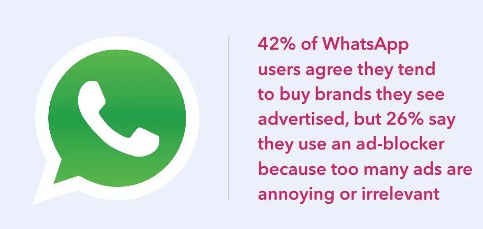 WhatsApp广告点击率提升全流程，数据洞察到落地执行的实战策略解析